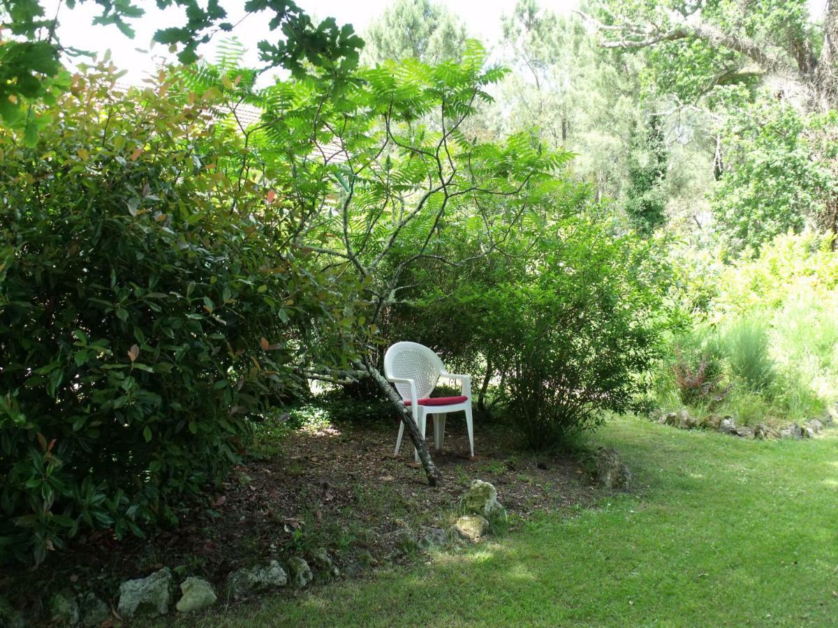 Les Hotes Landes Bed & Breakfast